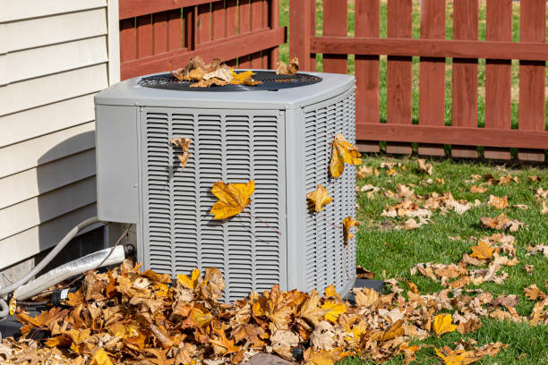 Best Air quality test  in Scott Af, IL